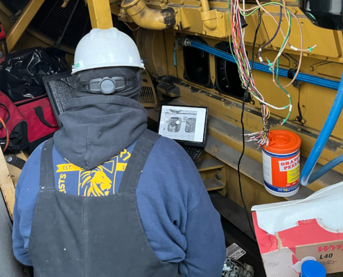 Lionheart Worker In Hardhat Looking At Laptop